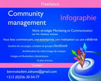 publicite-communication-infographe-community-manager-alger-centre-algerie