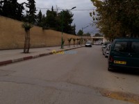 عين-الدفلى-الجزائر-أرض-byaa-ard-aayn-aldfl