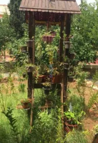 Location Appartement F2 Ain temouchent Hammam bouhadjar