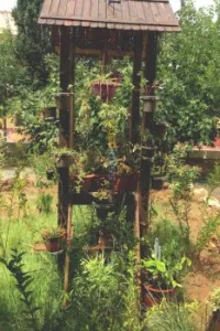 Location Appartement F2 Ain temouchent Hammam bouhadjar