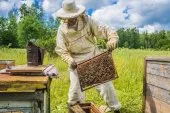 Formation qualifiante en apiculture 
