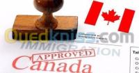 الجزائر-باب-الزوار-خدمات-في-الخارج-immigration