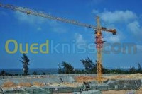 blida-bougara-algerie-construction-travaux-grue-a-tour