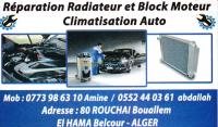 alger-belouizdad-algerie-réparation-auto-diagnostic-refroidissement-clim-et-décalaminage