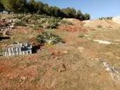 Vente Terrain Tlemcen Ain fezza