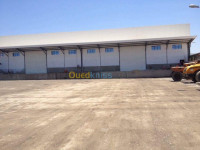 hangar-location-boumerdes-ouled-moussa-algerie