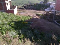 جيجل-الجزائر-أرض-byaa-ard-jyjl