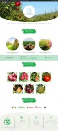 Création et Développement site web
