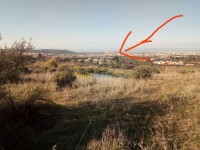 تلمسان-المنصورة-الجزائر-أرض-byaa-ard-tlmsan-almnsor