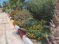 alger-dar-el-beida-algerie-construction-travaux-aménagement-de-jardins