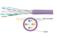 Câble RJ45 CAT. 6 U/UTP monobrin