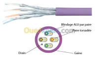 Câble RJ45 CAT. 6A U/FTP monobrin 