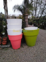 alger-draria-algerie-nettoyage-jardinage-décoration-pot-de-fleur