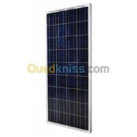 alger-el-harrach-algerie-matériel-éléctrique-modules-yingli-solar-130w