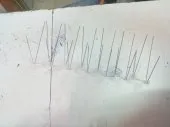 Netoyage