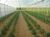 domaine d’installation des poulaillers