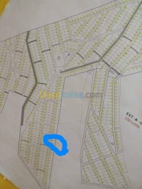 أرض-بيع-قسنطينة-الخروب-الجزائر