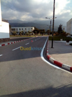 construction-travaux-de-signalisation-routiere-bordj-el-kiffan-alger-algerie