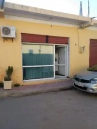 Location Local Tipaza Hadjout