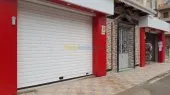 rideaux métalliques et automatisme 