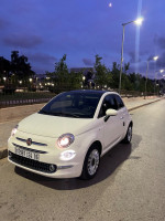 voitures-fiat-500-2024-club-chevalley-alger-algerie