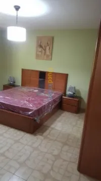 Peintre professionnel 