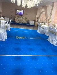 الجزائر-دالي-ابراهيم-بناء-و-أشغال-placo-platre