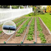 L'irrigation goutte a goutte jardinage