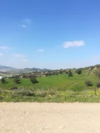 Vente Terrain Blida El affroun