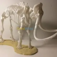  décoration et Impression 3D