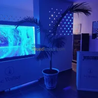 décoration et animation aquatiques