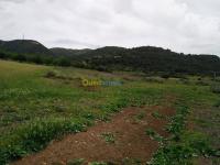 البليدة-العفرون-الجزائر-أرض-byaa-ard-alblyd-alaafron