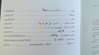 أرض-بيع-تلمسان-مغنية-الجزائر