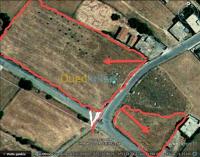 برج-بوعريريج-غيلاسة-الجزائر-أرض-byaa-ard-brj-boaaryryj-ghylas