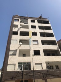 تيزي-وزو-الجزائر-ديكورات-و-ترتيب-griffée-façades