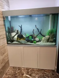 fabrication d'aquarium
