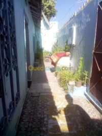 appartement-vente-f3-blida-soumaa-algerie