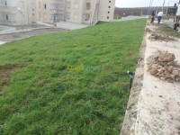 blida-algeria-construction-works-gazon-natural