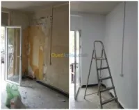 Peintre professionnel