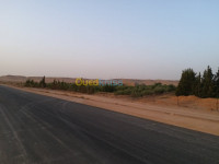 ghardaia-algerie-terrain-agricole-vente