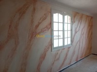 الجزائر-وسط-بناء-و-أشغال-peinture