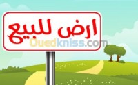 أرض-بيع-عين-تموشنت-الجزائر