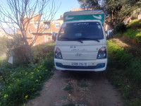 camion-hyundai-h100-2014-tizi-ouzou-algerie