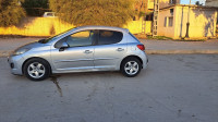 voitures-peugeot-207-2011-active-chlef-algerie