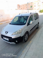 voitures-peugeot-partner-2010-tepee-el-ogla-tebessa-algerie