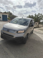 utilitaire-fiat-doblo-2024-oued-endja-mila-algerie