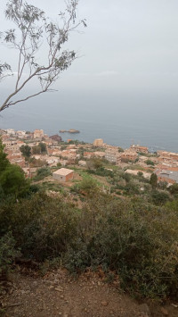 terrain-vente-tipaza-algerie