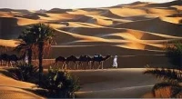 Programme Timimoune pour fin d'année