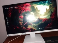Écran MSI PRO MP243X
