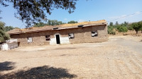 hangar-location-guelma-algerie